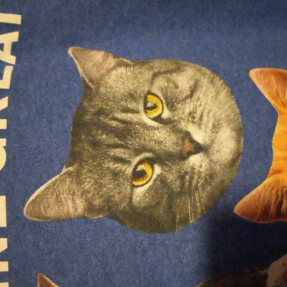 Cat t-shirt - Picture 3 of 7